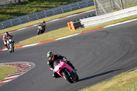 brands-hatch-photographs;brands-no-limits-trackday;cadwell-trackday-photographs;enduro-digital-images;event-digital-images;eventdigitalimages;no-limits-trackdays;peter-wileman-photography;racing-digital-images;trackday-digital-images;trackday-photos